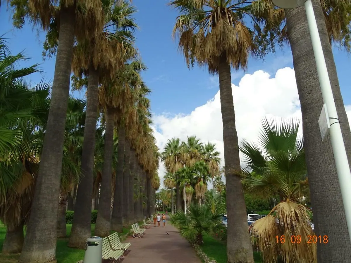 Apartment Palm Beach Cannes Azur France